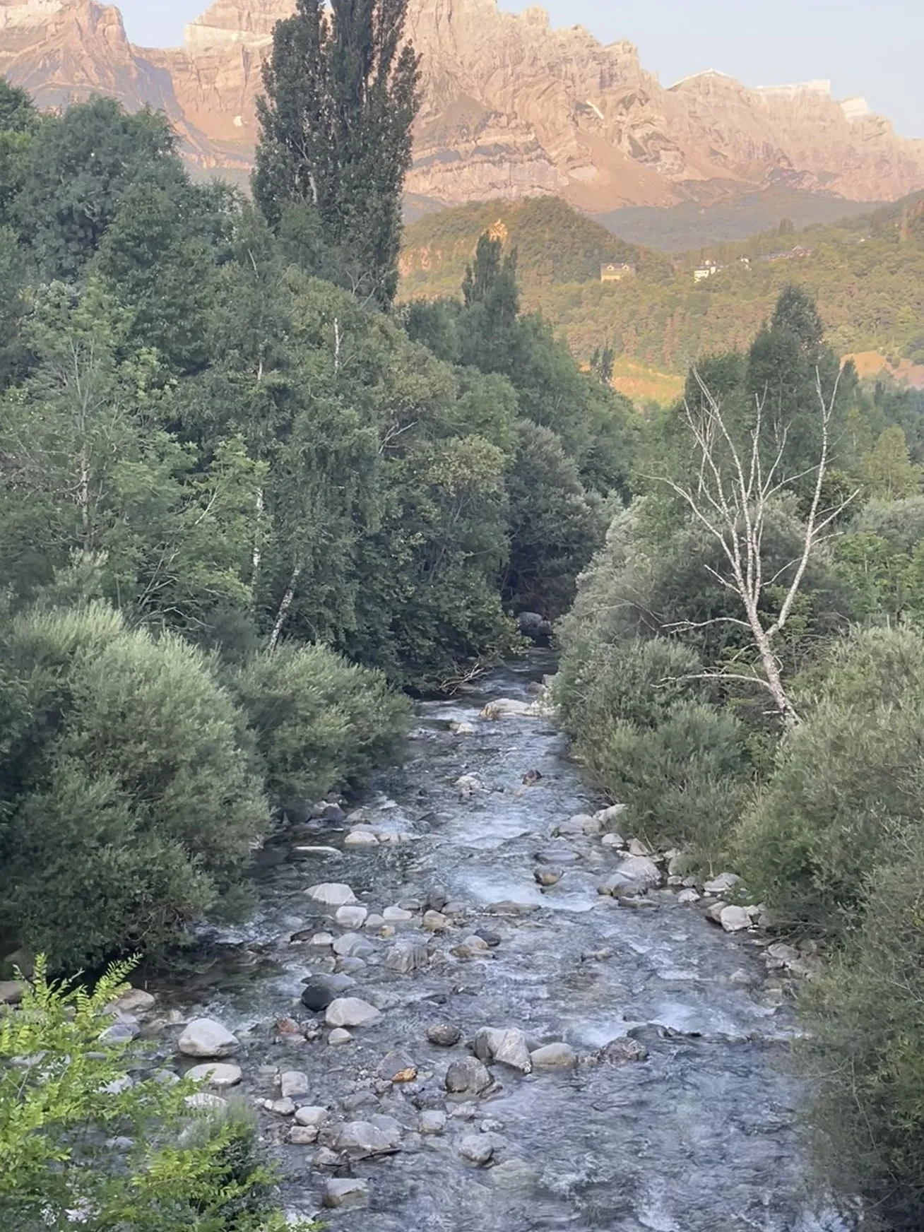 Paisaje de montaña y río en el entorno del Valle de Tena.